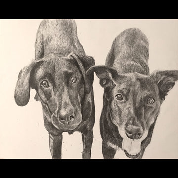 Pencil drawing: 11x14" Dual Subject